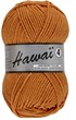 Hawaï 4 041