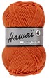 Hawaï 4 028