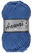 Hawaï 4 039