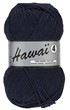 Hawaï 4 890