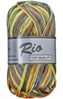 Rio multi 635