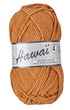 Hawaï 4 114