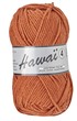 Hawaï 4 112