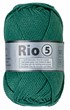 Rio 5 458